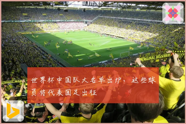 世界杯中国队大名单出炉，这些球员将代表国足出征