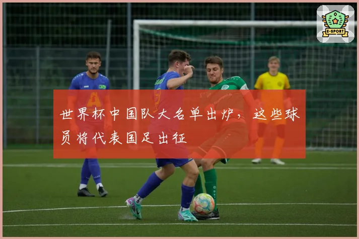 世界杯中国队大名单出炉，这些球员将代表国足出征